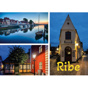 Ribe