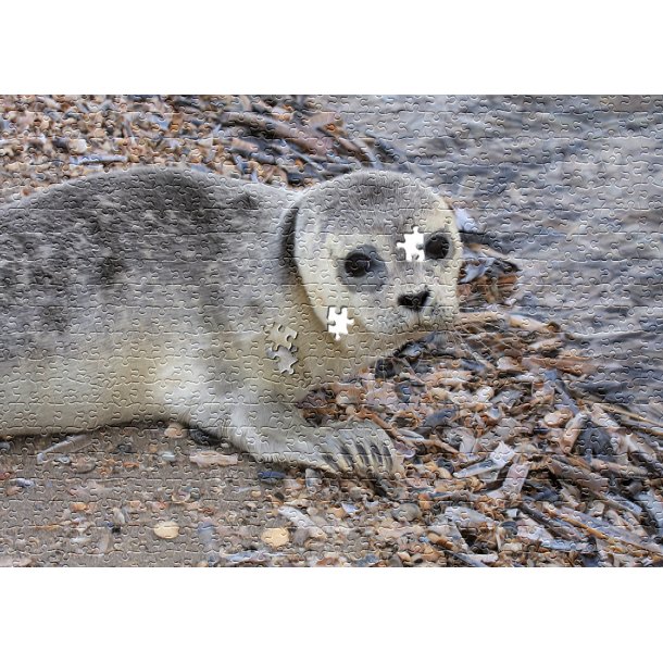 Puslespil i dse - Danmark