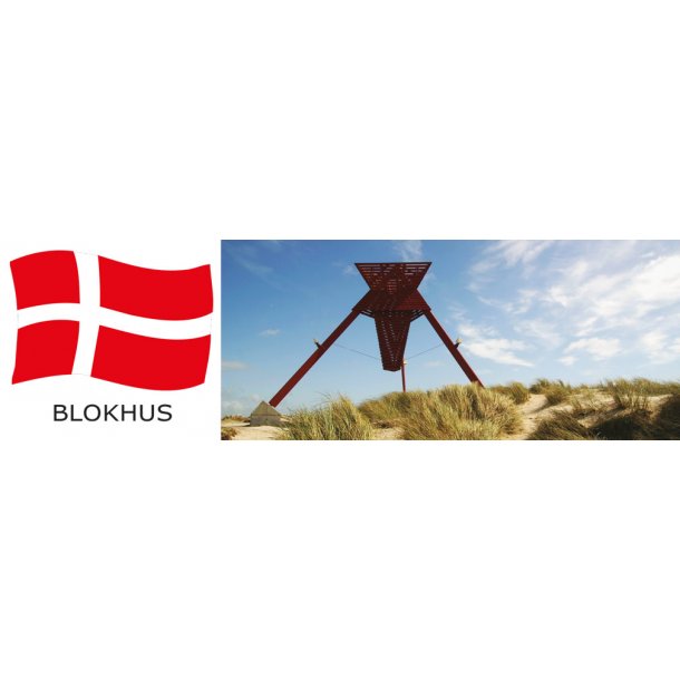 Blokhus 01
